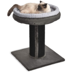 Amazon Basics - Torre en árbol con poste rascador y cama para gatos, extragrande